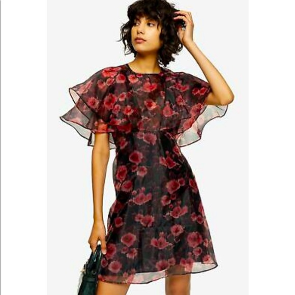 Topshop Dresses & Skirts - Topshop Organza Floral mini dress